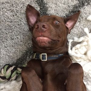 Meet your Posher, Jamie